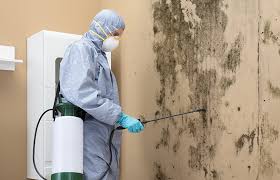 Best Mold Prevention Services in Redmond, OR